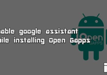 Enable google assistant while installing Open Gapps