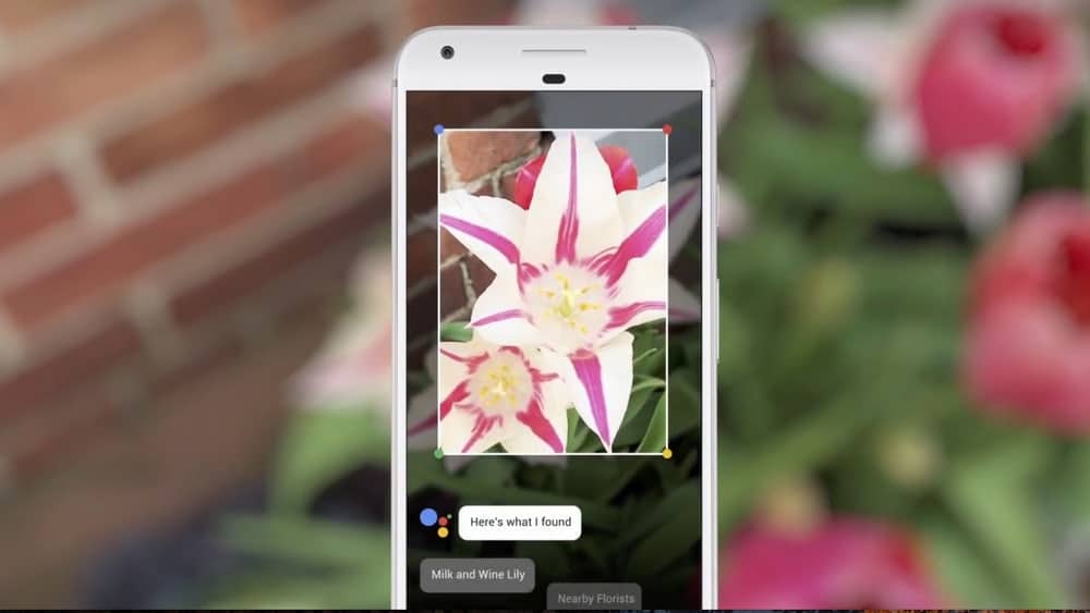  How To  Get Google Lens In Any Android Device Right Now - 58