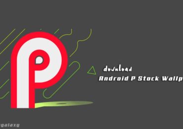 Download Android P Stock Wallpapers