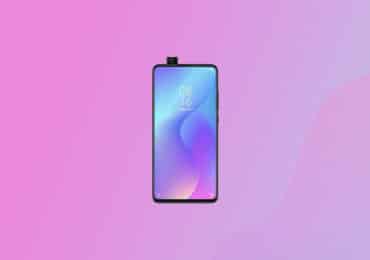V12.0.4.0.QFAMIXM: Xiaomi Mi 9 Global Stable ROM - January 2021 security patch