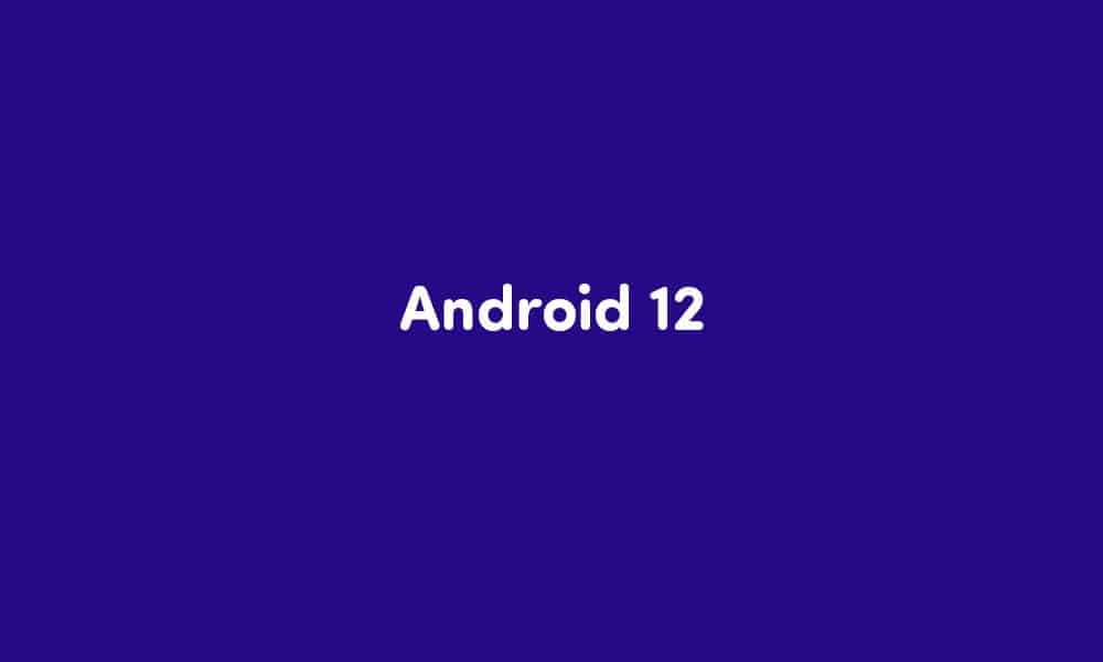 enable the one-handed mode on Android 12 OS