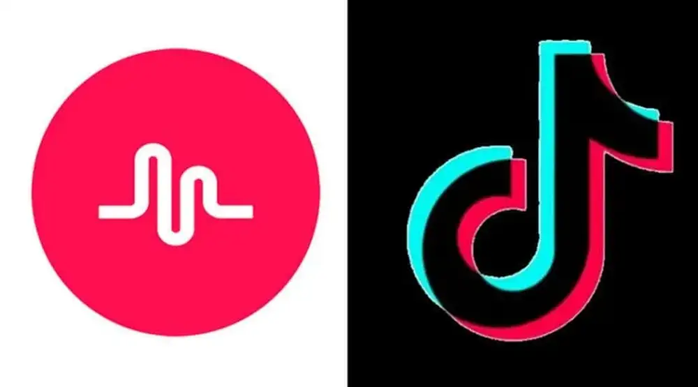 get my old musical.ly account and Videos back