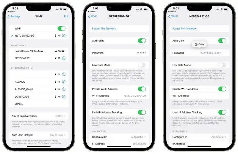 view the saved Wi-Fi passwords on your iPhone