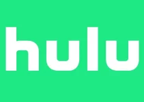 [Fixed-2022] Hulu Error Code P-TS207