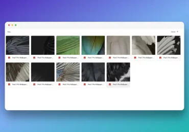 Download Google Pixel 7 Pro QHD+ Stock wallpapers
