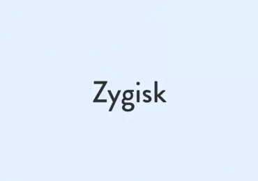 download and use Zygisk