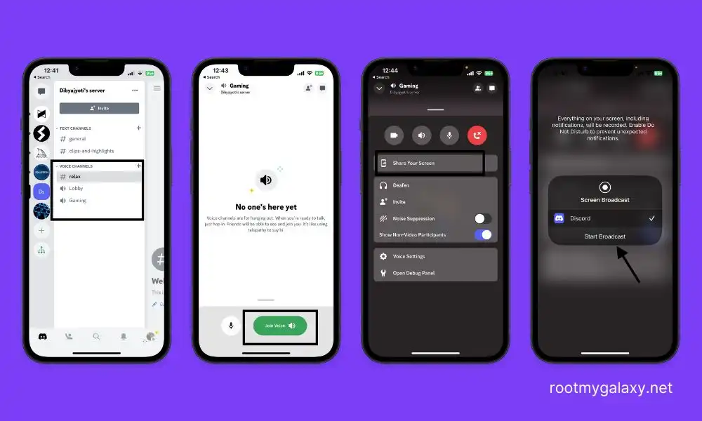 Share Screen Discord Mobile iPhone Netflix or anyother