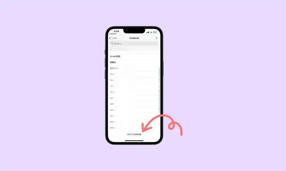 How to check the total number of contacts on iPhones and Android devices