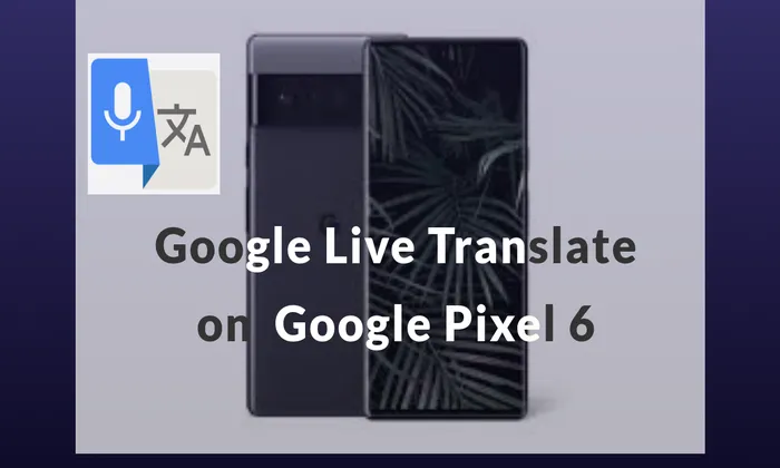 Google Live Translate On Google Pixel 6