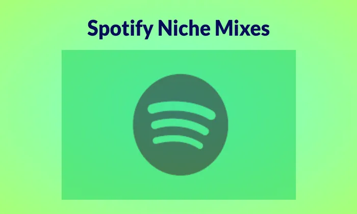 How to Find Niche Mixes in Spotify on PC or Phone