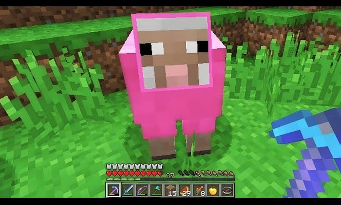 Minecraft Crazy Sheep