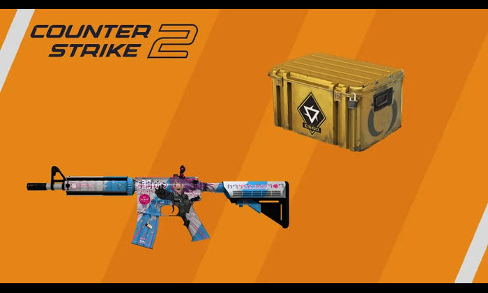 Counter Strike 2 Cases