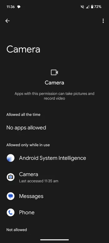 Pixel Camera and Mic Permission Settings 113623