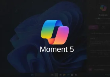install and enable Windows 11 Moment 5 features